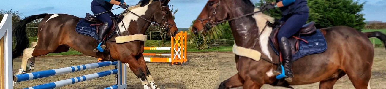 JUMPING VLOG | My first ever solo jump lesson | Working on Confidence & Competitiveness