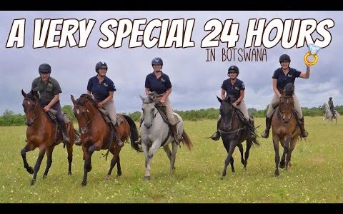 A VERY SPECIAL 24 HOURS IN BOTSWANA