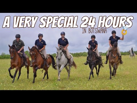 A VERY SPECIAL 24 HOURS IN BOTSWANA