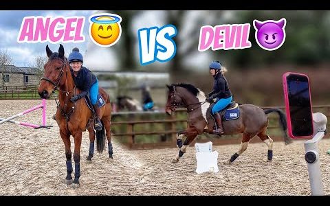 ENZO VS BANSKY Jumping Both my Horses | Insta 360 Flow 2 Pro