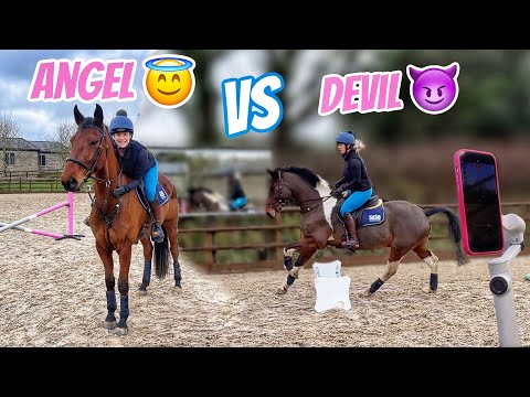 ENZO VS BANSKY Jumping Both my Horses | Insta 360 Flow 2 Pro