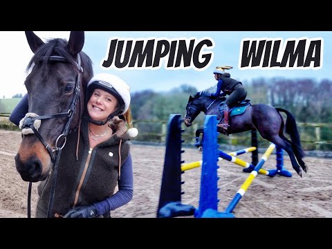 JUMPING WILMA | Basically *UnSchooling* Megs Horse