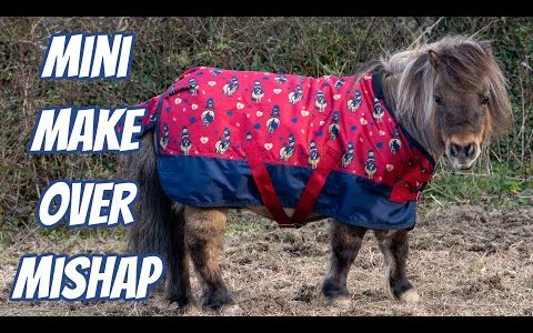Tiny PONY MINI MAKE OVER Mishap