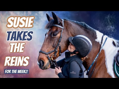 SUSIE TAKES THE REINS