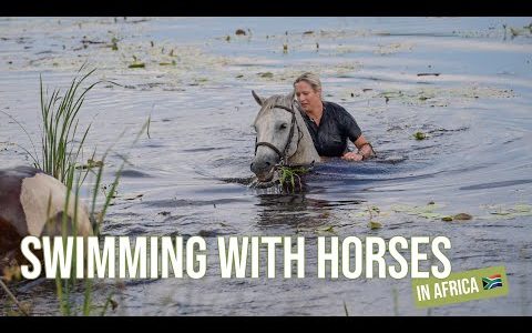 SWIMMING with Horses in Africa