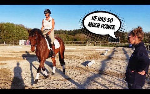 THIS HORSE IS SPECIAL