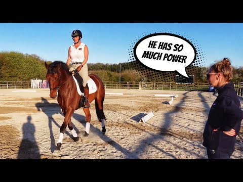 THIS HORSE IS SPECIAL