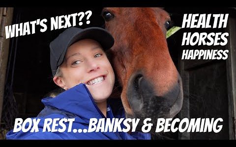 WHAT NEXT… Box Rest, Business & Becoming…