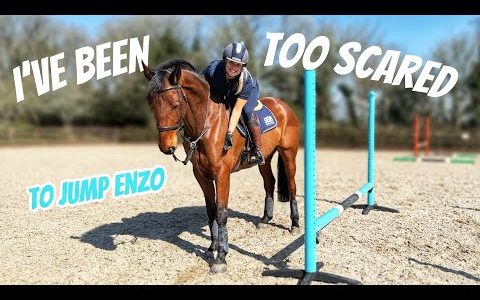 Why I’ve Barely Jumped My New Horse…