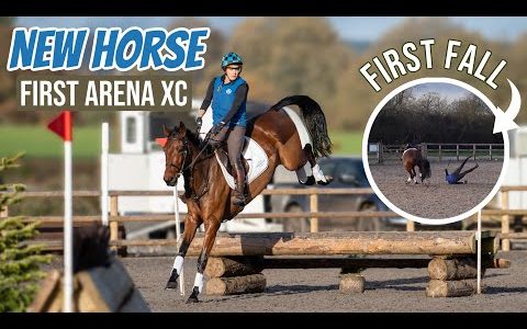 FIRST FALL Jumping My NEW HORSE ARENA XC | I needed that to Happen!!