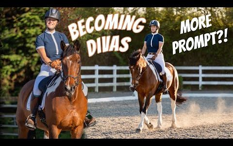 It wasnt a FLUKE!! My Horse is Very Happy