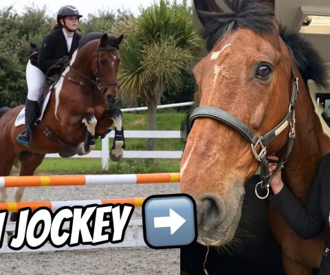My Horse assists a Junior jockey