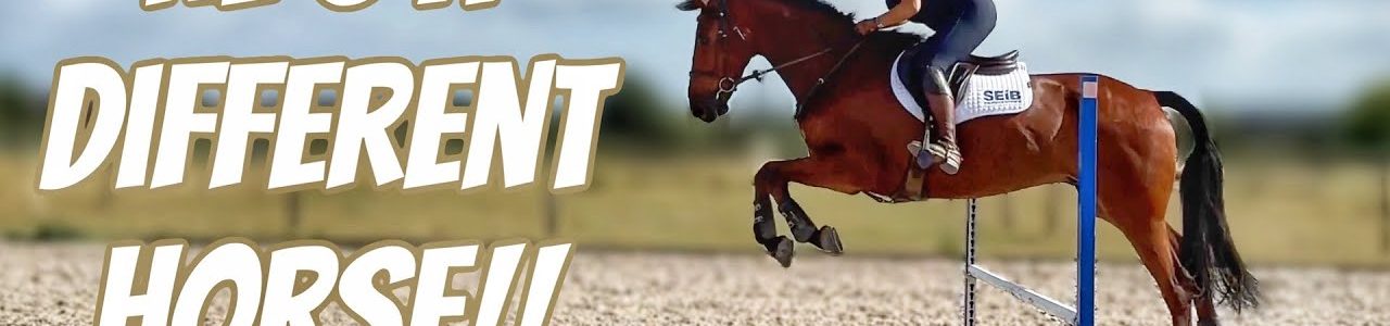 WOW HE’S A DIFFERENT HORSE | Alex Works his Magic on Enzo 🪄