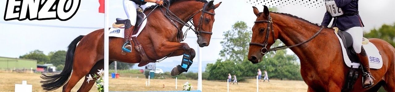 I made a BIG MISTAKE | Eventing Enzo