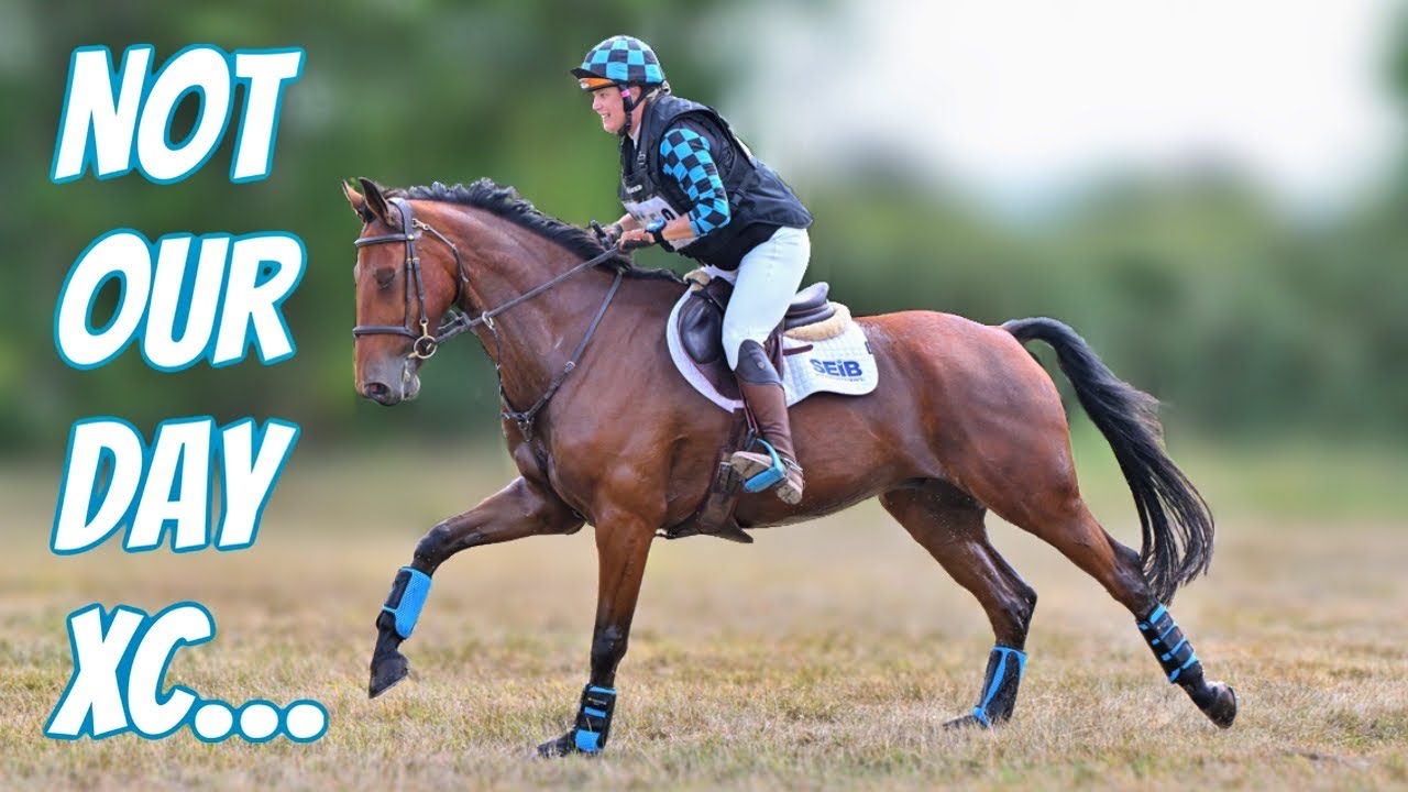 NOT OUR DAY… FIRST ELIMINATION ON ENZO