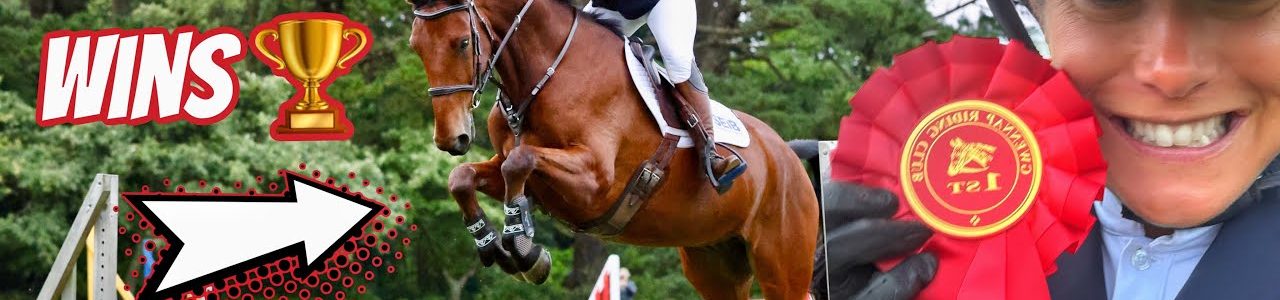 First Proper Show on My Young Horse Enzo