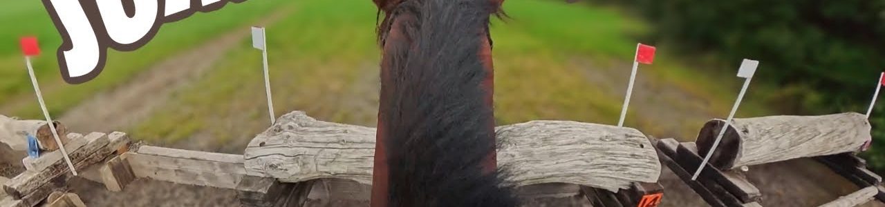 ENZO & I JUMP OUR FIRST CLEAR ROUND XC