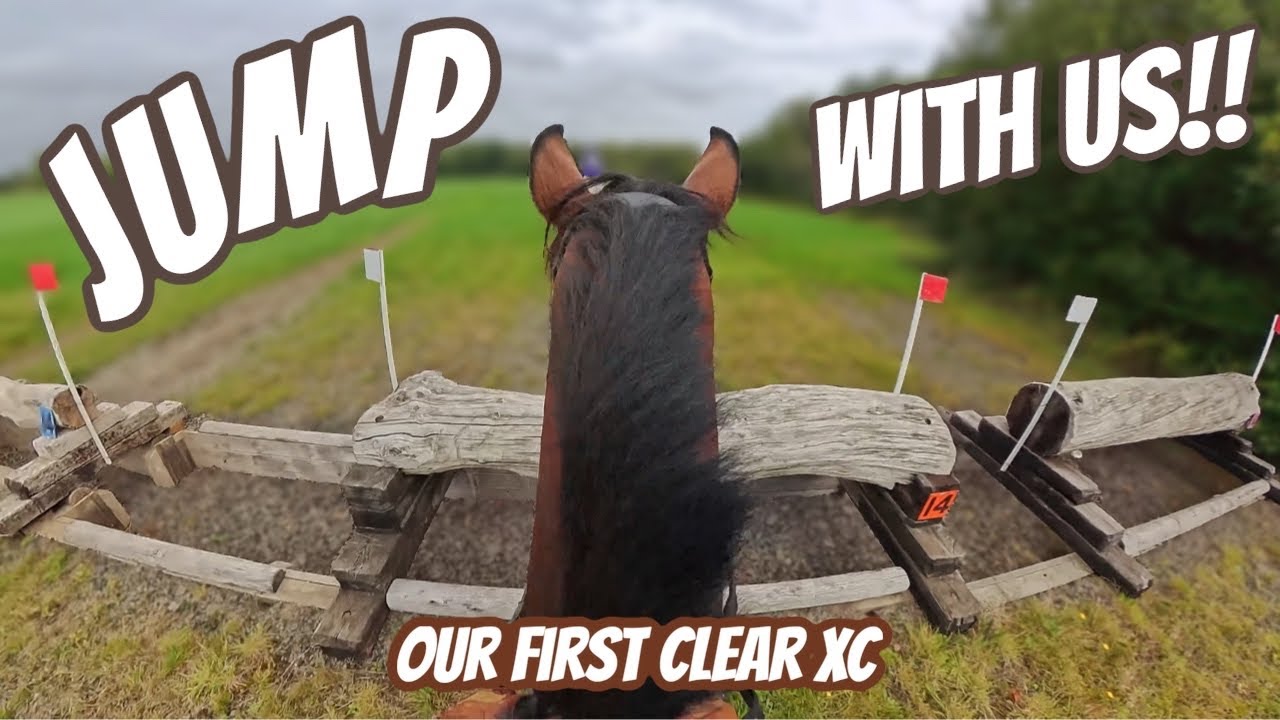 ENZO & I JUMP OUR FIRST CLEAR ROUND XC