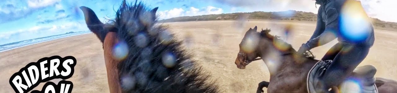 A rather WILD Beach Ride | Rider POV