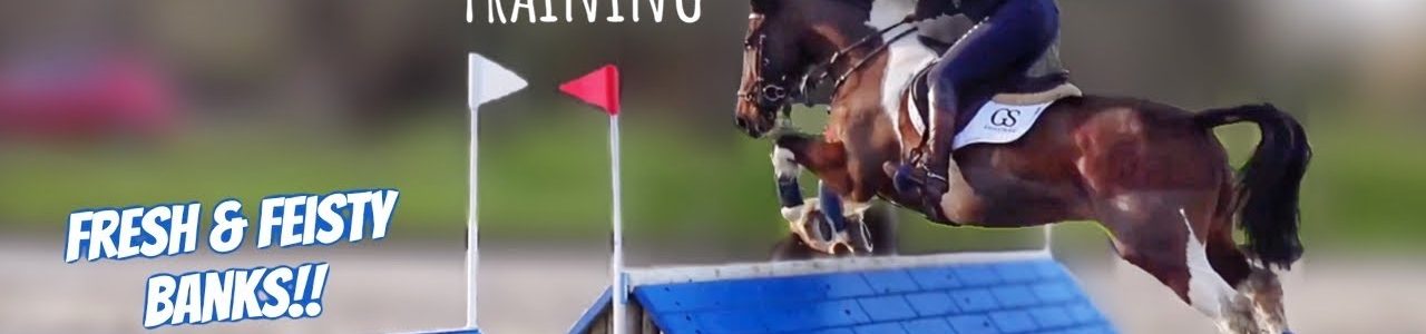 ARENA EVENTING on my FERAL Horse