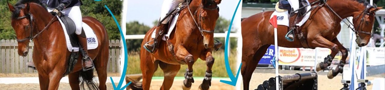 EVENTING ENZO | Our first ODE | Good Horse, Bad Rider – Surprise Result 🏆