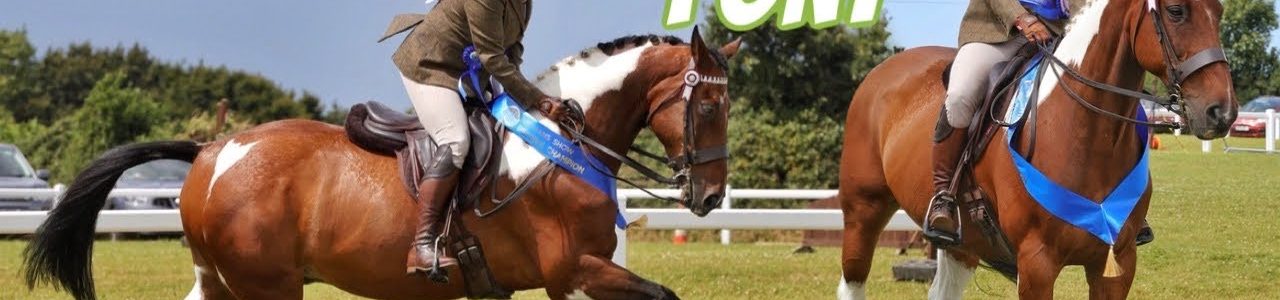 BANKSY GOES RESERVE CHAMPION 🏆 Winning our first ever Sash 💙