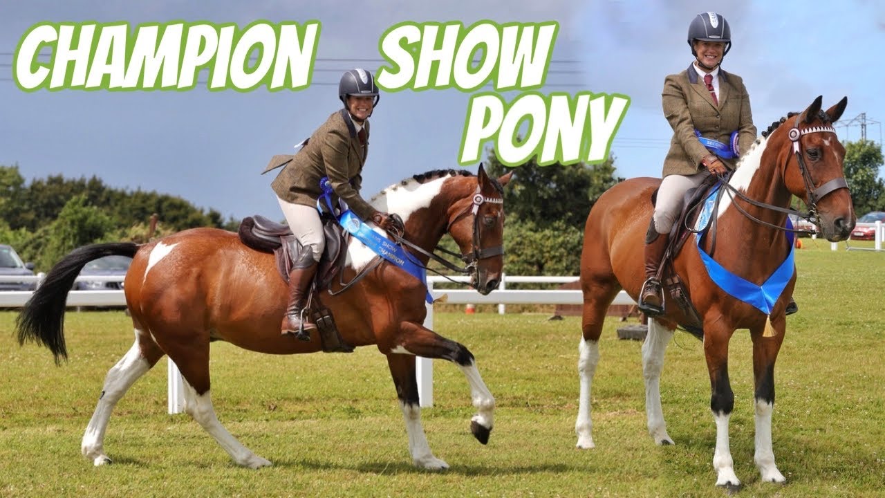 BANKSY GOES RESERVE CHAMPION 🏆 Winning our first ever Sash 💙